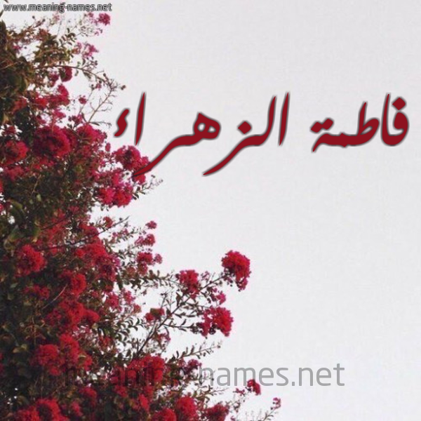 شكل 18 صوره الورد الأحمر للإسم بخط رقعة صورة اسم فاطمة الزهراء Fatima-Zahraa